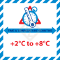 Preview: Time & Temperature +2 +8, 100x100 mm, Papieretikett